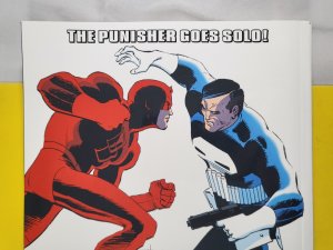 The Punisher Epic Collection Circle of Blood TPB