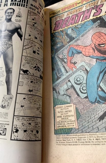 Giant-Size Spider-Man #4 (1975) 3rd punished app