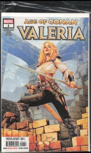 Age of Conan: Valeria #1 (2019) Valeria