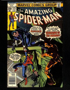 Amazing Spider-Man #175 Punisher!