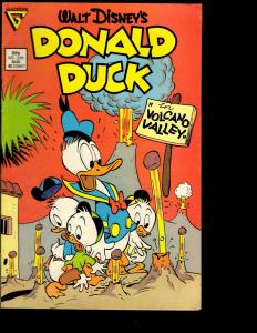 Lot of 12 Comics Donald # 248 253 254 255 256 257 258 (2) 259 260 261 262 WS8