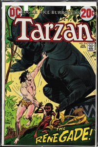 Edgar Rice Burroughs' Tarzan #216 (1973)