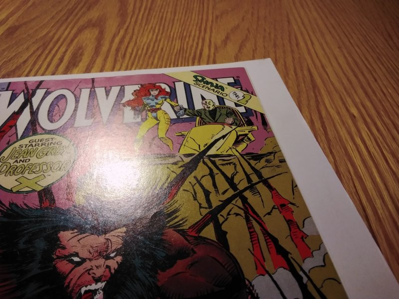 Wolverine #49 (1991)