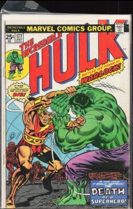 The Incredible Hulk #177 (1974) Hulk