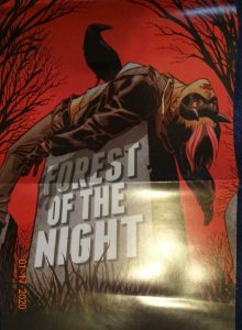 COFFIN HILL FOREST OF THE NIGHT Promo Poster, 11 x 34, 2014, VERTIGO Unused more