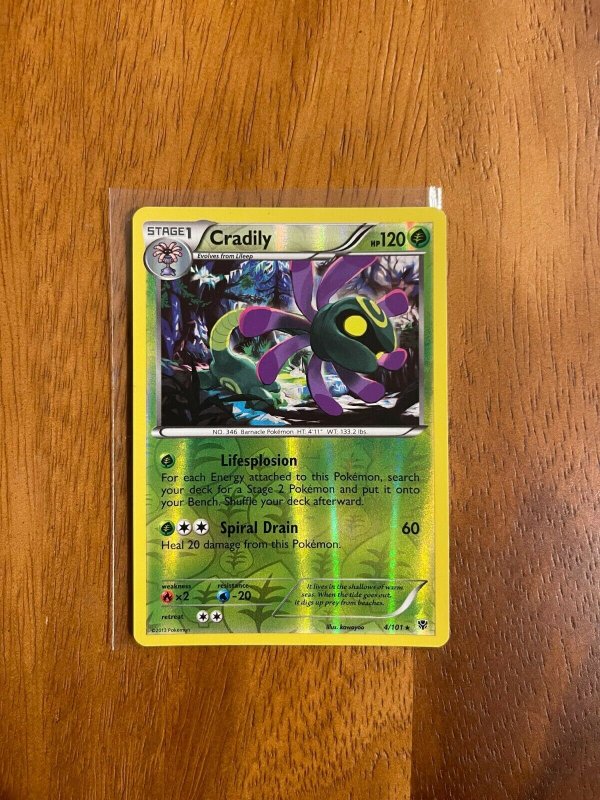 pokemon cradily card