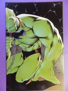 VAMPIRELLA CROSSOVER GALLERY # 1 SAVAGE DRAGON SEXY COVER