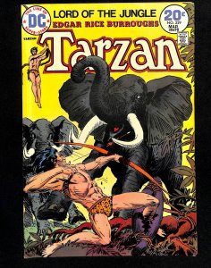 Tarzan (1972) #229