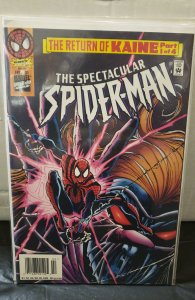 The Spectacular Spider-Man #231 (1996)