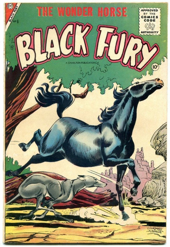 BLACK FURY THE WONDER HORSE #6 1956 CHARLTON COMICS FN