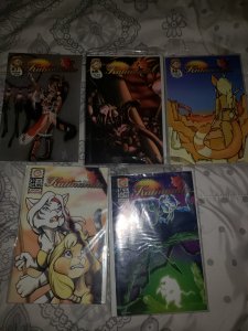 ADULT ONLY-- Katmandu Shanda Fantasy Arts (Issue 14-28, 30-32, 34,35) Comic Book