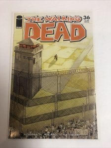 Walking Dead (2007) # 36 (NM) | 1st Print | Kirkman