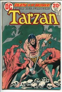 TARZAN #224 1973-DC-EDGAR RICE BURROUGHS-JOE KUBERT JUNGLE ART-SKULL-vf