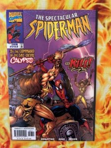 The Spectacular Spider-Man #253 (1998) - NM