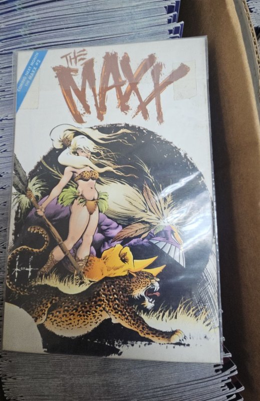 The Maxx #1 (1993)