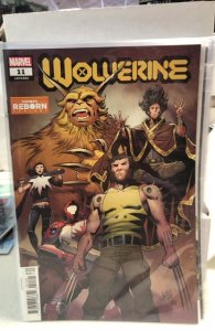 Wolverine #11 Pacheco Cover (2021)
