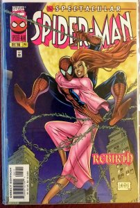The Spectacular Spider-Man #241 (NM)(1996)