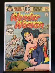 Wonder Woman #223 (1976)