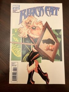 Amazing Spider-Man Presents: Black Cat #4 (2010)