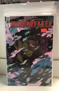 Dungeons & Dragons: Mindbreaker #4 Cover C (2022)