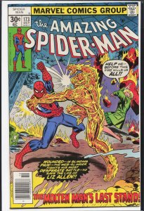 The Amazing Spider-Man #173 (1977) Spider-Man