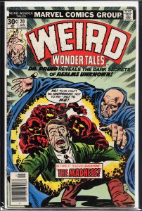 Weird Wonder Tales #20 (1977) Doctor Druid