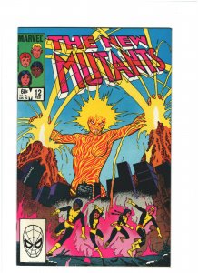 New Mutants #12 VF+ 8.5 Marvel Comics 1984 Copper Age Claremont, X-Men