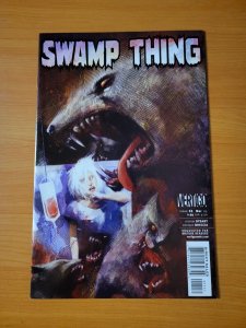 Swamp Thing v4 #11 ~ NEAR MINT NM ~ 2005 DC / Vertigo Comics