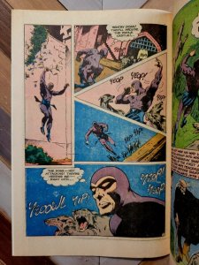 The Phantom #73 FN/VF 7.0 (Charlton Comics 1976) Don Newton Cover The Torch!