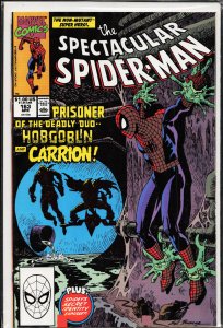 The Spectacular Spider-Man #163 (1990) Spider-Man