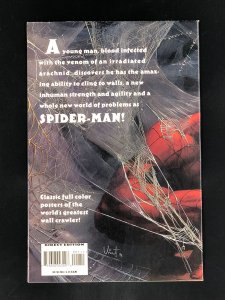 Hot Shots: Spider-Man (1996) Alex Ross Wrightson Mignola Vess Poster Book!
