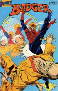 Badger #24 VF ; First | Mike Baron