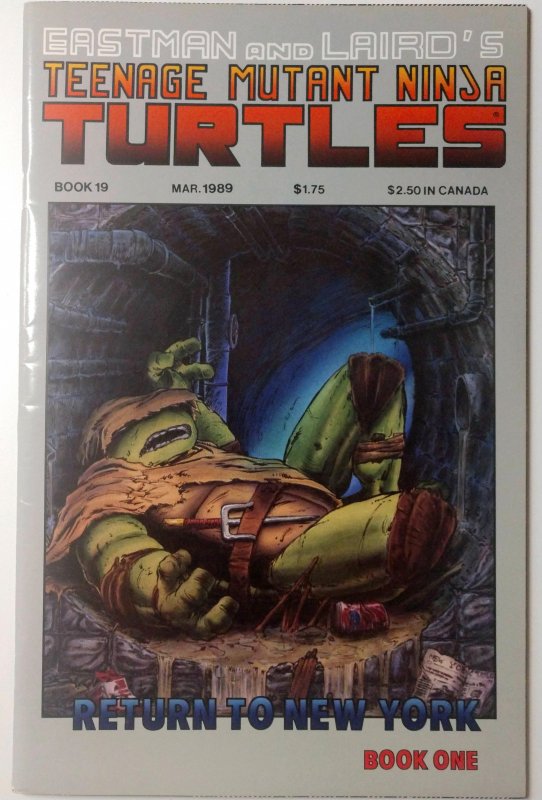 Teenage Mutant Ninja Turtles #19 (7.0, 1989)