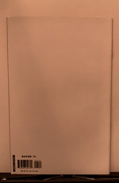 Punisher War Journal #1 (2007)