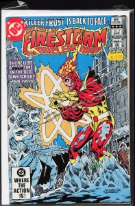 The Fury of Firestorm #3 (1982) Firestorm