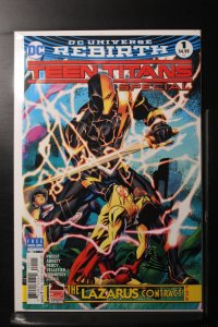 Teen Titans: The Lazarus Contract Special (2017)