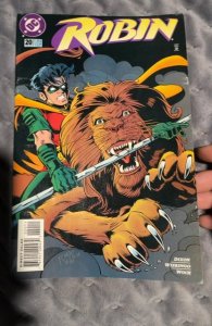 Robin #20 (1995)