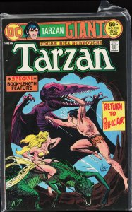Edgar Rice Burroughs' Tarzan #238 (1975)