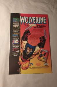 The Punisher War Journal #36 (1991)