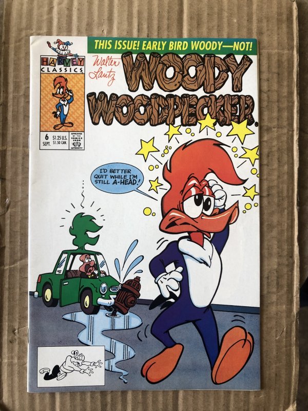 Woody Woodpecker #6