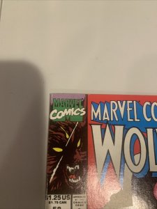 Marvel Comics Presents Wolverine / Hulk #58 Marvel 1990 Comic 