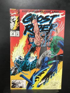 Ghost Rider #29 (1992)nm