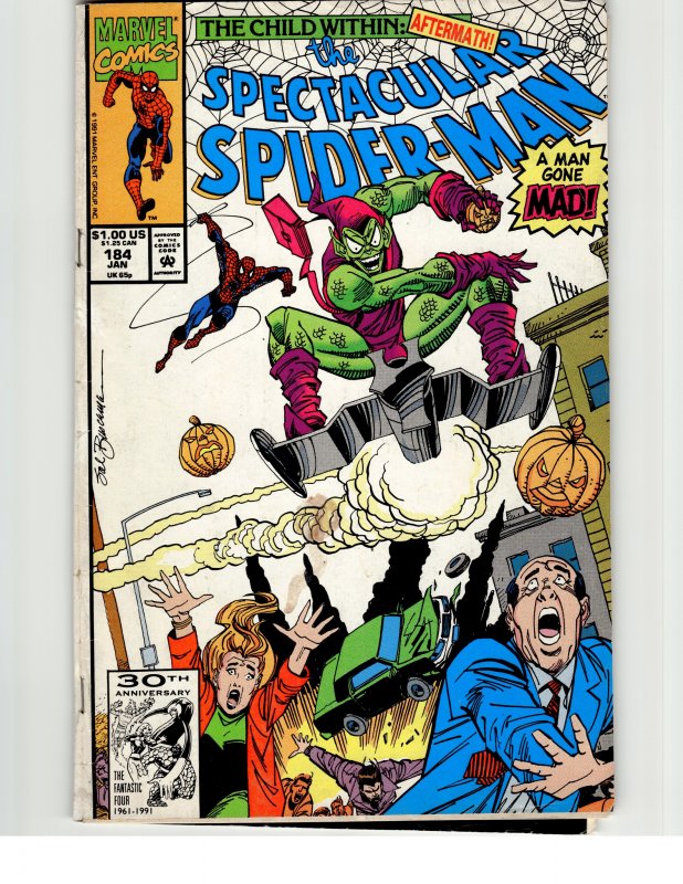 The Spectacular Spider-Man #184 (1992) Spider-Man