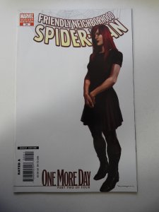 Friendly Neighborhood Spider-Man #24 White Cover (2007)