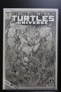 Teenage Mutant Ninja Turtles Universe #17 Cover B (2017)
