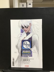 Black Cat #2 Turner Variant 2022 