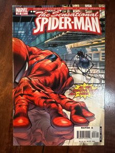 The Sensational Spider-Man #23 (2006)
