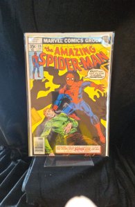 The Amazing Spider-Man #176 (1978) Spider-Man 