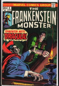 The Frankenstein Monster #8 (1974) Frankenstein Monster