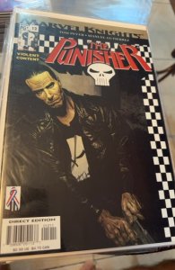 The Punisher #12 (2002) Punisher 